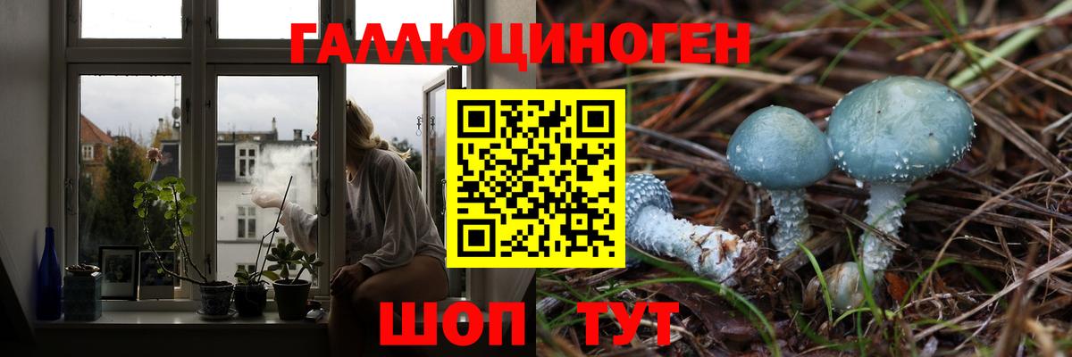 Псилоцибиновые грибы прущие грибы  Псилоцибиновые грибы MAGIC MUSHROOMS  Оренбург  Вход с VPN 
